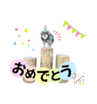 ボーダーコリー『リリマリ』（個別スタンプ：23）
