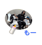 いぶスタンプ8（個別スタンプ：12）