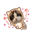 もここ＆はなな（個別スタンプ：1）