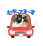 もここ＆はなな（個別スタンプ：5）