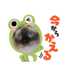 もここ＆はなな（個別スタンプ：12）