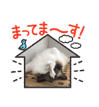 もここ＆はなな（個別スタンプ：25）