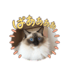 もここ＆はなな（個別スタンプ：32）