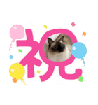 もここ＆はなな（個別スタンプ：39）