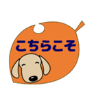 大人の優しい気づかい ダックスフンド秋編（個別スタンプ：21）