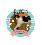 シャロン2（個別スタンプ：1）
