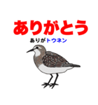 野鳥deダジャレ（個別スタンプ：1）