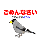 野鳥deダジャレ（個別スタンプ：7）