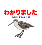 野鳥deダジャレ（個別スタンプ：10）