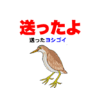 野鳥deダジャレ（個別スタンプ：12）