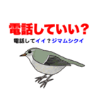 野鳥deダジャレ（個別スタンプ：14）