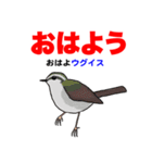 野鳥deダジャレ（個別スタンプ：15）