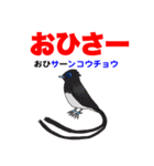 野鳥deダジャレ（個別スタンプ：17）