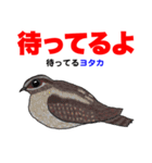 野鳥deダジャレ（個別スタンプ：19）