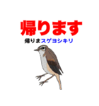 野鳥deダジャレ（個別スタンプ：20）