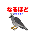 野鳥deダジャレ（個別スタンプ：22）