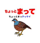 野鳥deダジャレ（個別スタンプ：23）