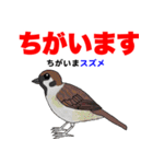 野鳥deダジャレ（個別スタンプ：24）