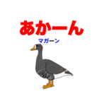 野鳥deダジャレ（個別スタンプ：28）