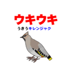 野鳥deダジャレ（個別スタンプ：35）