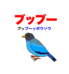 野鳥deダジャレ（個別スタンプ：37）