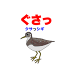 野鳥deダジャレ（個別スタンプ：38）