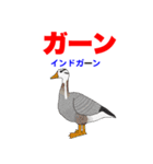 野鳥deダジャレ（個別スタンプ：40）