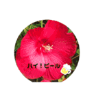 癒し風景～ダジャレ（個別スタンプ：7）