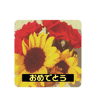 癒し風景～ダジャレ（個別スタンプ：8）
