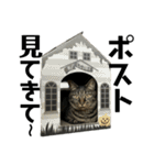 キジ猫ミミちゃん平和連合（個別スタンプ：36）