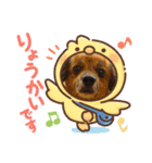我が家のワンズwithにゃんこ（個別スタンプ：6）