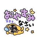 我が家のワンズwithにゃんこ（個別スタンプ：10）