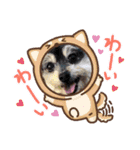 我が家のワンズwithにゃんこ（個別スタンプ：11）