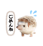明石ブレイカーズのスタンプ第一弾（個別スタンプ：20）