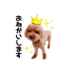 明石ブレイカーズのスタンプ第一弾（個別スタンプ：21）