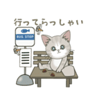 【とびだす】仔猫のぽんにゃん☆毎日使える（個別スタンプ：20）