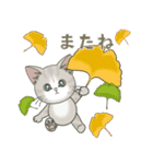 【とびだす】仔猫のぽんにゃん☆毎日使える（個別スタンプ：22）