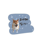 ♡服部様（個別スタンプ：23）