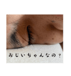 裕太郎スタンプ。3（個別スタンプ：8）