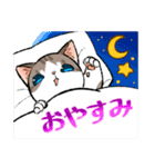 猫たちのあいさつスタンプ（個別スタンプ：2）