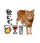 hknの日常2(文字あり)（個別スタンプ：3）