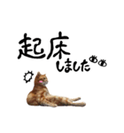 hknの日常2(文字あり)（個別スタンプ：6）