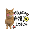 hknの日常2(文字あり)（個別スタンプ：16）
