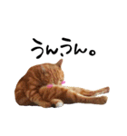hknの日常2(文字あり)（個別スタンプ：29）