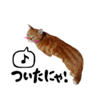 hknの日常2(文字あり)（個別スタンプ：35）