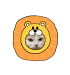 無表情ねこ たま（個別スタンプ：13）