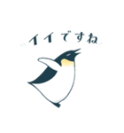 【敬語】皇帝ペンギン（個別スタンプ：1）