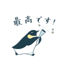 【敬語】皇帝ペンギン（個別スタンプ：13）