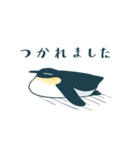 【敬語】皇帝ペンギン（個別スタンプ：19）