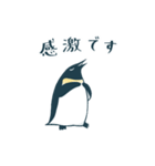 【敬語】皇帝ペンギン（個別スタンプ：29）